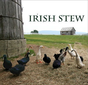 Irish Stew
